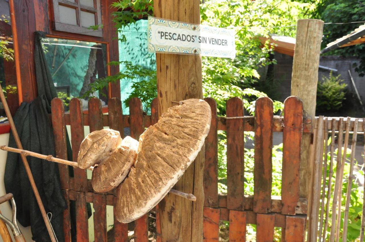 La Casa Del Arbol - Hostel El Bolson Exterior photo